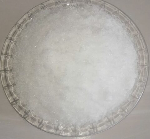 Neopentyl Glycol